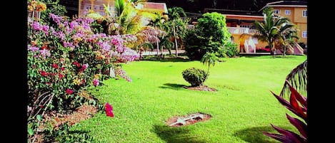 Villa Front Lawn