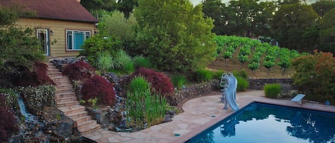 House is surrounded by vineyard, oak trees and a waterfall