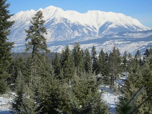 View from master king room.