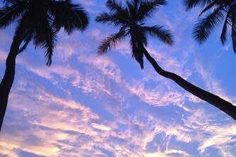 Spectacular Views, Breathtaking Sunsets, Kamaole Sands Resort