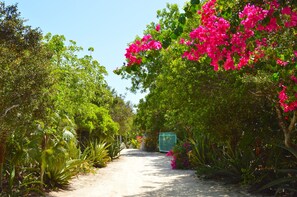 Lush garden leads to auto gate.