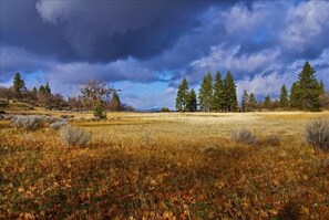 Storm clouds over our upper medow