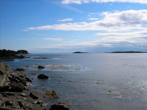 View from cottage backyard