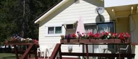 Cabin - Back Porch