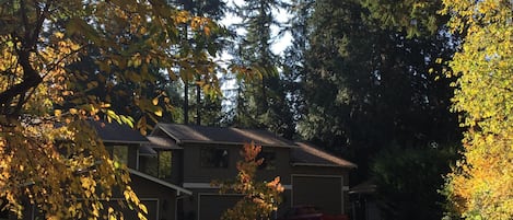 Wooded, secluded, quiet neighborhood (dead-end road).