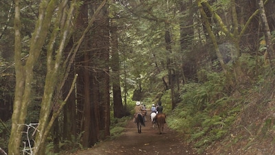 Private Bunkhouse at Half Moon Bay Coastal Ranch