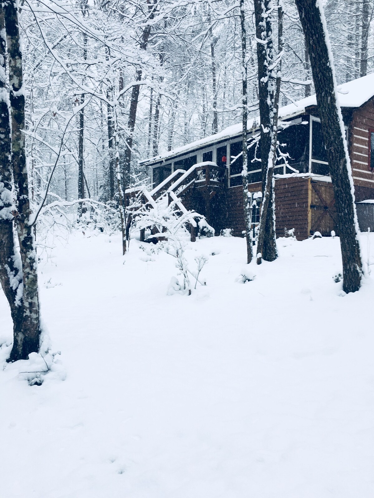 Quaint Cabin in National Park and Toccoa River Area