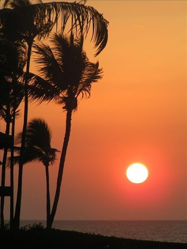Maui Sunset 