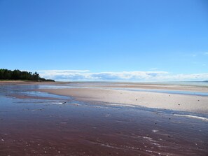 The sand bars are amazing. for beachcombing and clam digging. 