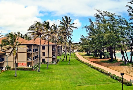 Oceanfront Condo. . .Steps Away From The Pacific Pedestrian And Bike Path