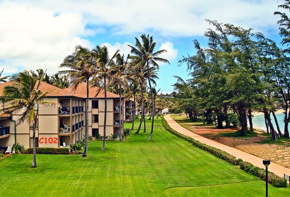 Oceanfront Condo. . .Steps Away From The Pacific Pedestrian And Bike Path