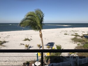 Famous shelling on sandbar across cabin accesible by my Kayaks