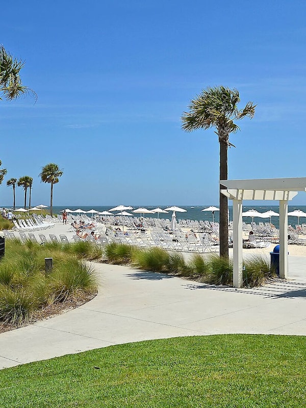 The Beach Club - Pay to Access