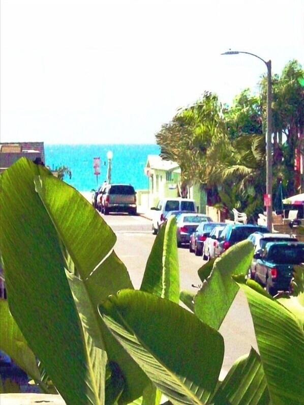 Superb Newport location for the whole entire family. beach, bay, surf and sand.