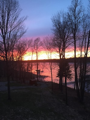 Oklassificerad bild, 5 av 42, knapp
