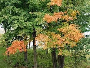 Boendeområde