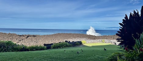 Enjoy a lazy morning on the Lanai.