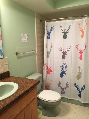 downstairs bath