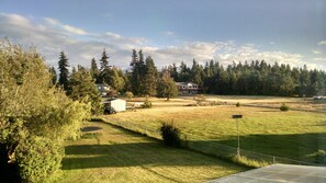 back yard
