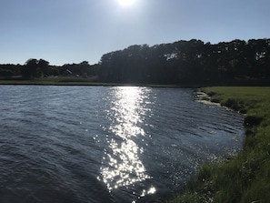 The sun set looking at the lake