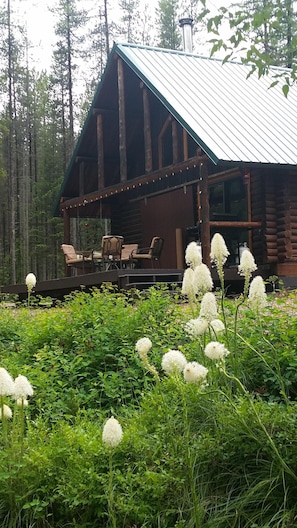 bear grass