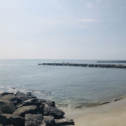 Boardwalk Views