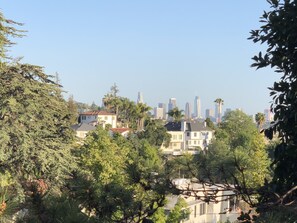 Downtown View from Private Patio