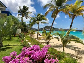 We all love gardening so our garden is full of trees and tropical flowers