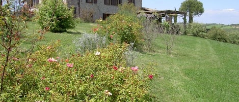 Hausansicht
mit der Terrasse vom ROSMARIN