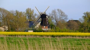 View from the back