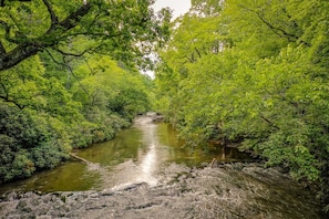 Rendezvous Located On The Ellijay River