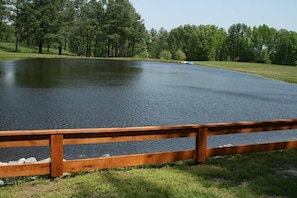 Stocked Fishing Pond
Catch & Release