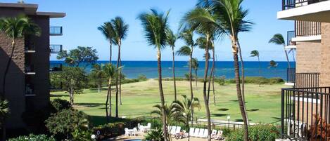 Ocean View From Lanai