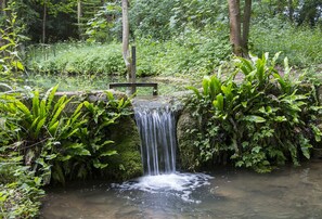 Nearby Wychwood Wild Garden