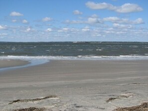 The Beach in Front of The Condo