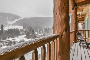 Spectacular mountain view from the balcony #winter