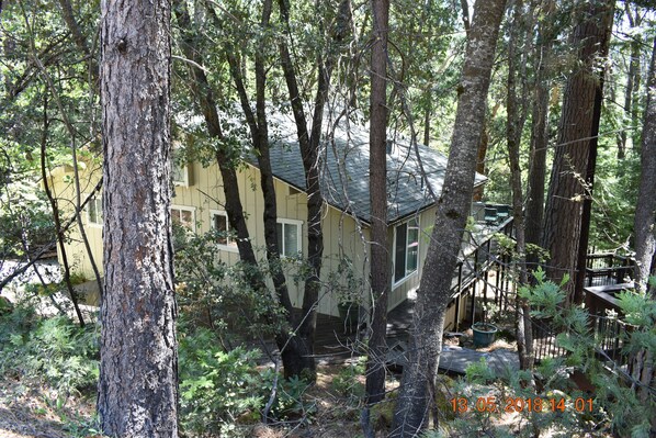 Front of the cabin
