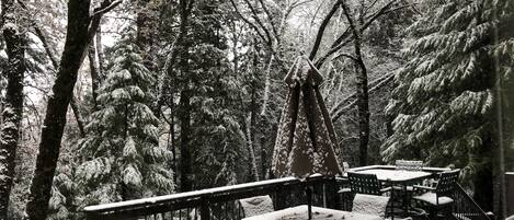 a beautiful dusting of snow in our backyard a few winters ago
