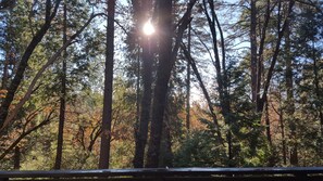 Back yard of the cabin