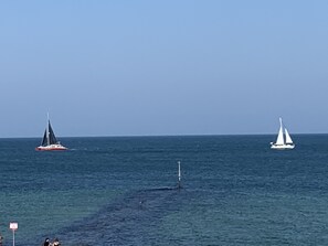 This amazing photo was taken from the condo!