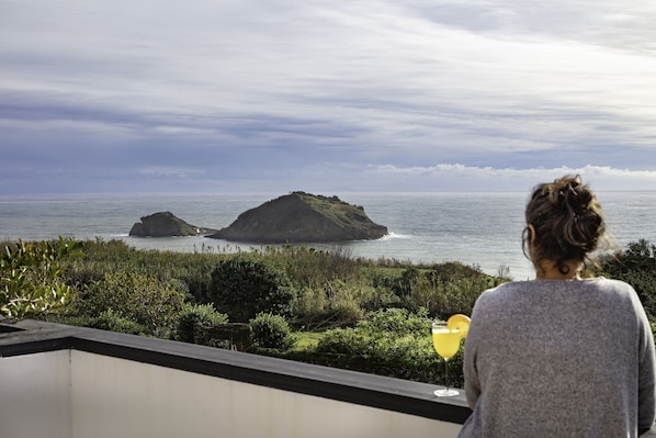 Beach/ocean view