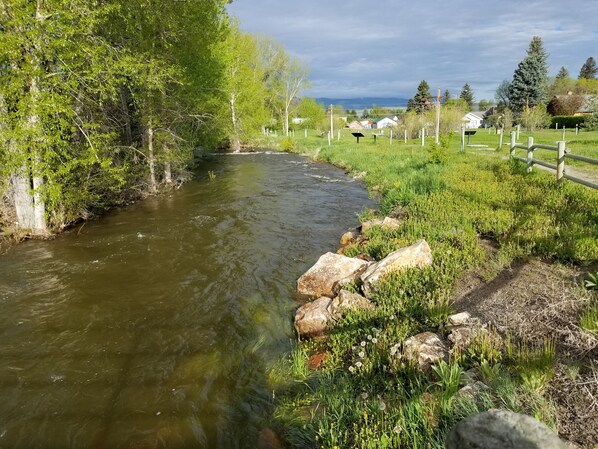 Cottonwood Creek runs next to the house! 