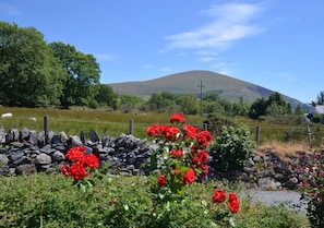 Looking from the parking area to Snowdonia mountains