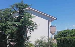 external view