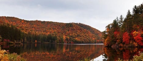 Lake Logan in the Fall