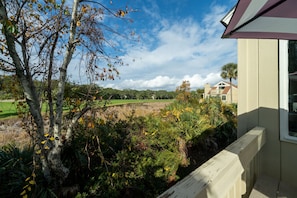 Marsh and golf course views from the front and master bedroom decks!