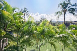 Master Bedroom Lanai View