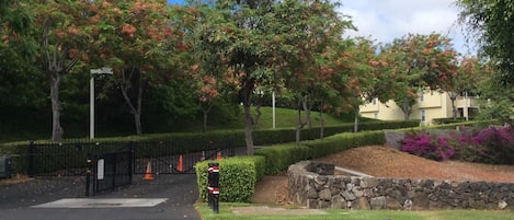 The entrance to condo right past Main entrance you can walk to pool area  