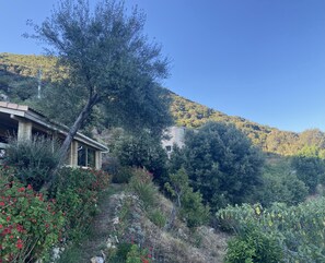 Nos 2 chalets mitoyens ... calme et intimité