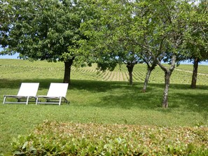 Espace de détente dans le jardin